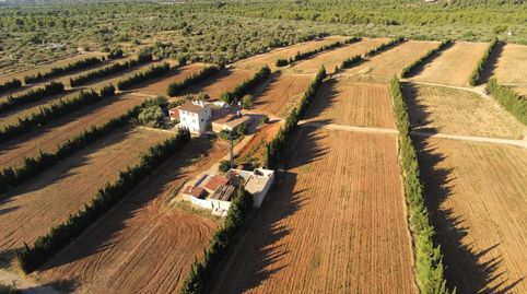 Gran Finca de cultivo de regadío de 23 Has con 3 viviendas y 2 almacenes, entre otras