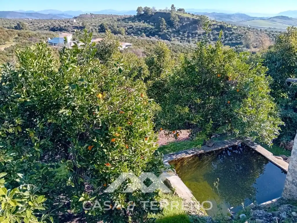 Casa o xalet en venda en Alozaina amb Piscina