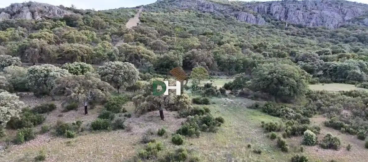 Terrenos y solares en venta en Nuevo Hospital, imagen 2