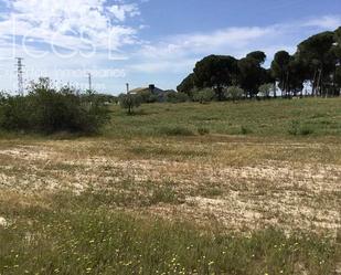 Finca rústica en venda en Almonte amb Terrassa i Moblat