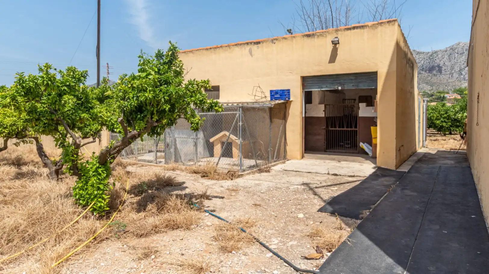 Vista exterior de Finca rústica en venda en Beniarbeig amb Jardí privat, Terrassa i Traster