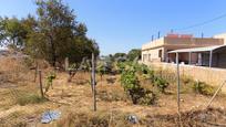 Residential for sale in Monteolivete - Camino Sevilla, imagen 1