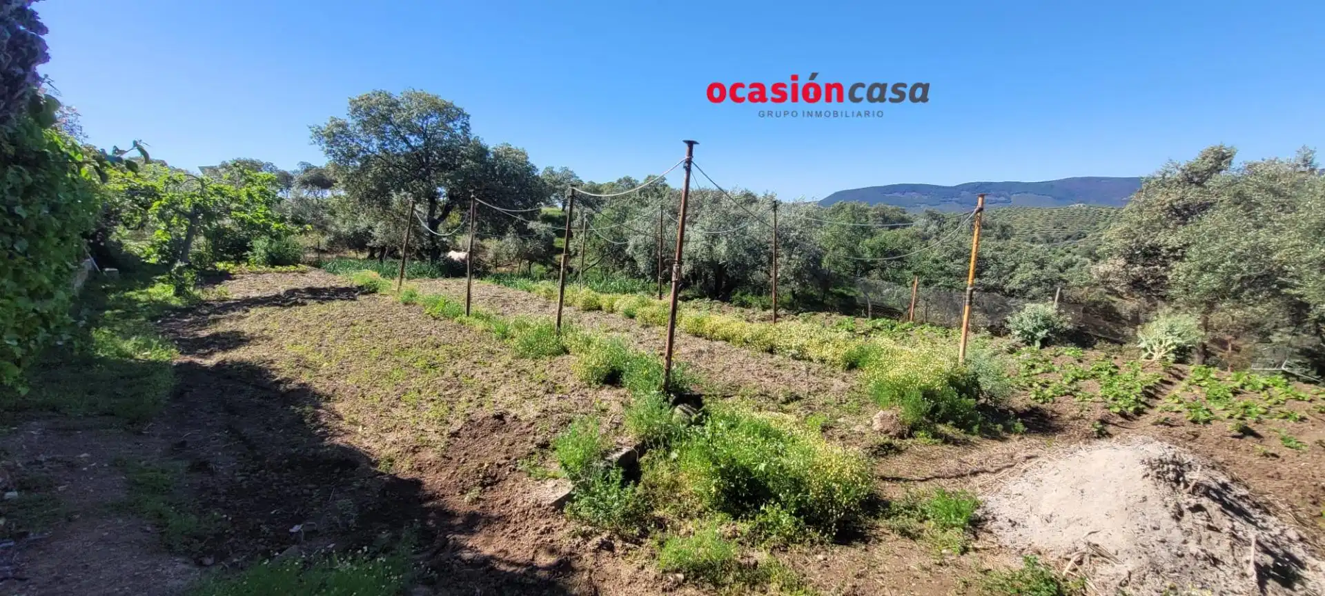 Casa rústica en venda a Pozoblanco, imagen 14