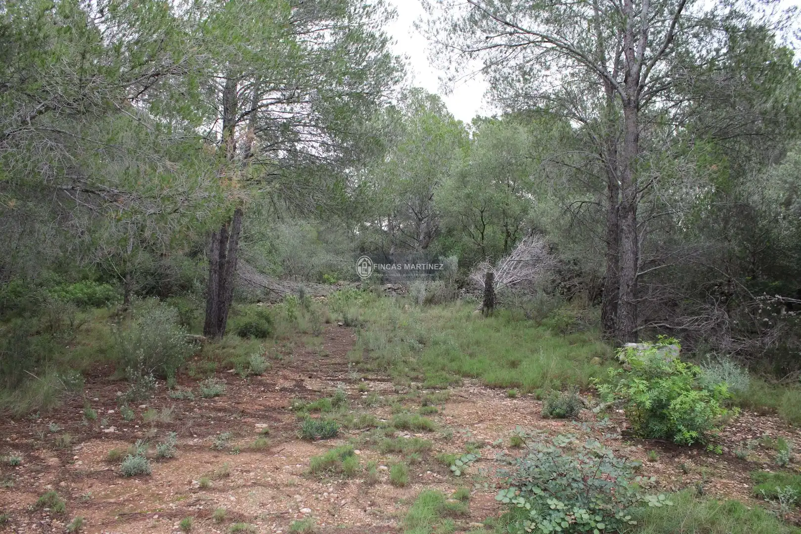 Terrenys i solars en venda a partida torres novas  lindante con el barranco porquerola y a poniente con el termino de pradit  es la parcela  del poligono, imagen 9