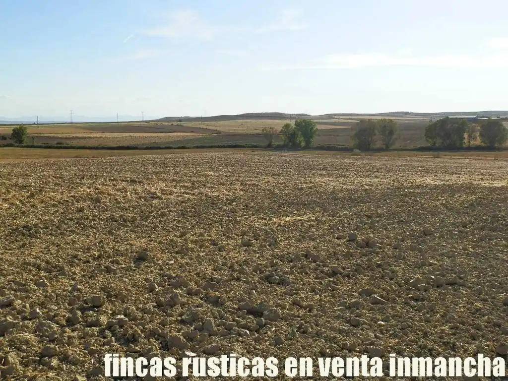 Terreni e lotti in vendita a Bargas, imagen 5