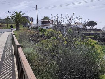 Terrenos y solares en venta en Guía de Isora interior
