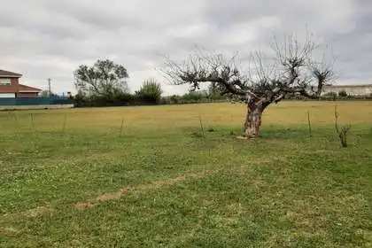 Terreni e lotti in vendita a Villaquilambre, imagen 7