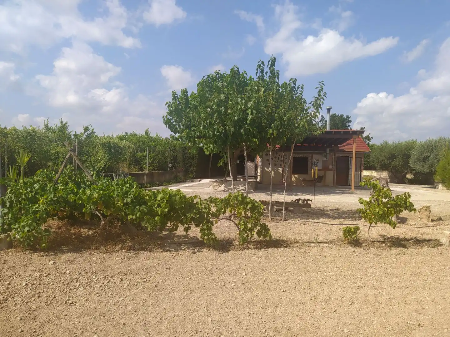 Casa rustica con giardino in vendita a Campa Palacios 1, imagen 15