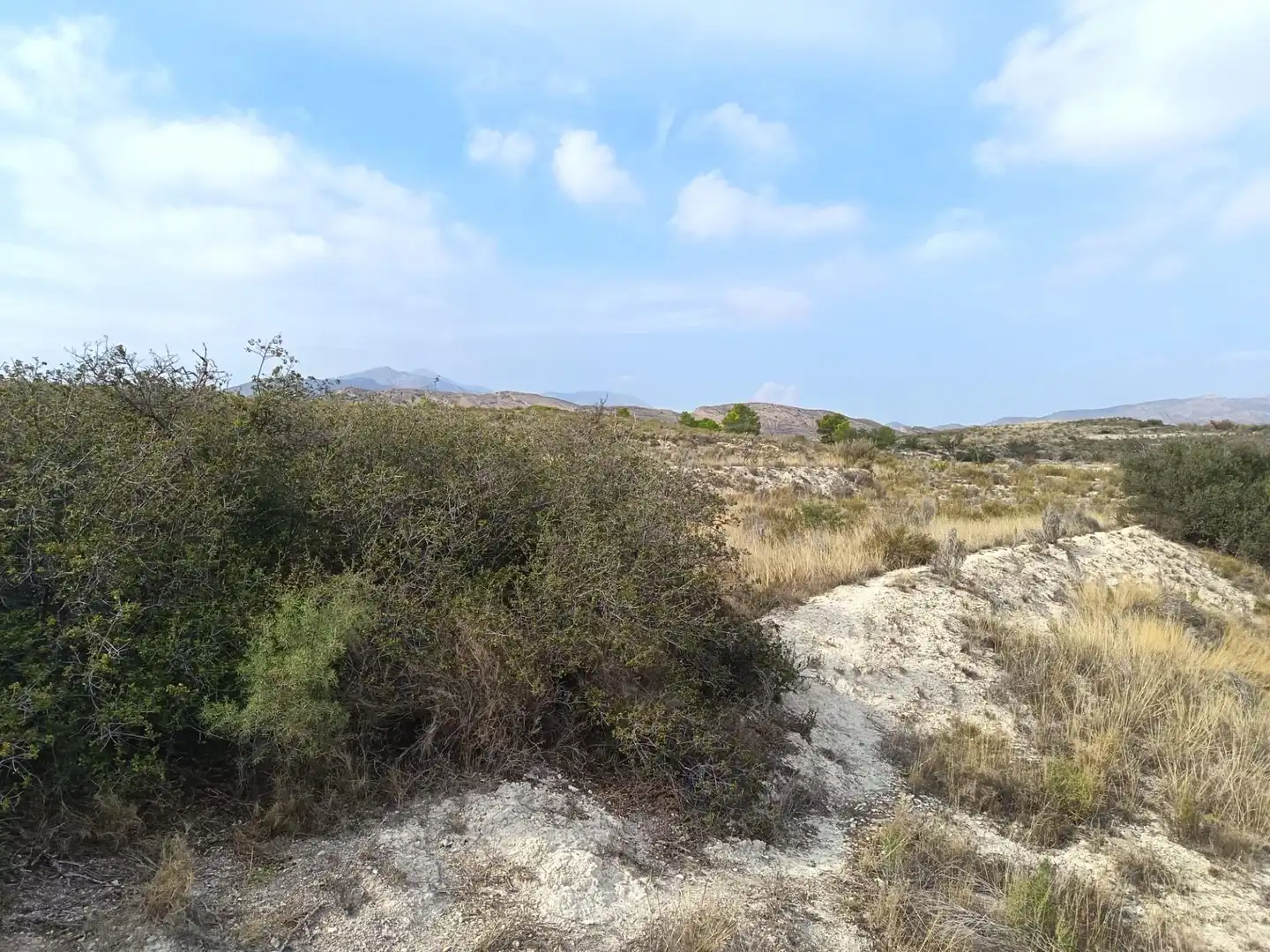 Residencial en venda en Alicante / Alacant