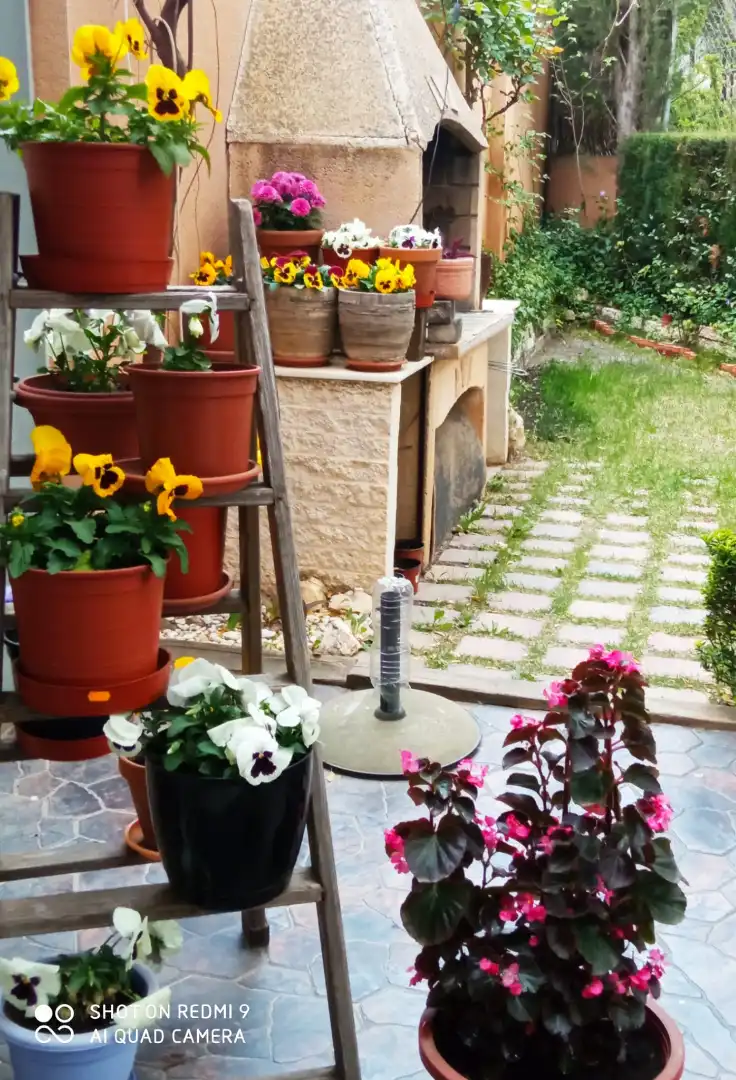 Garden of Detached homes for sale in Villena  with Heating, Private garden and Storage room