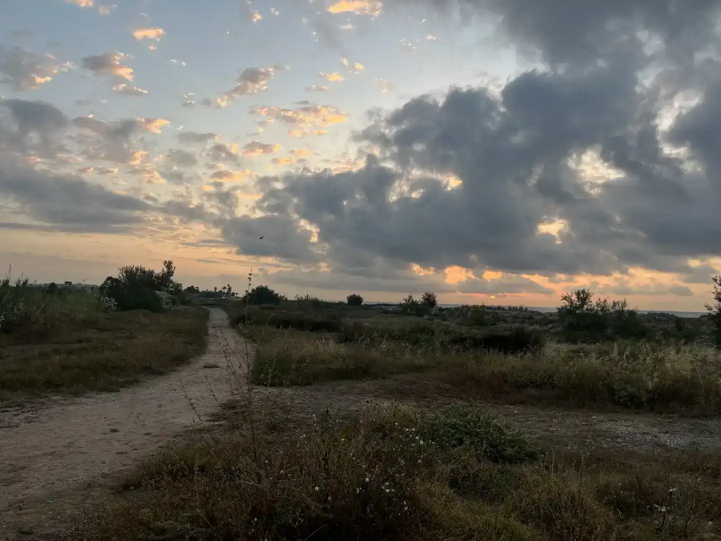 Wohnungen zur Miete in Chilches / Xilxes, Castellón