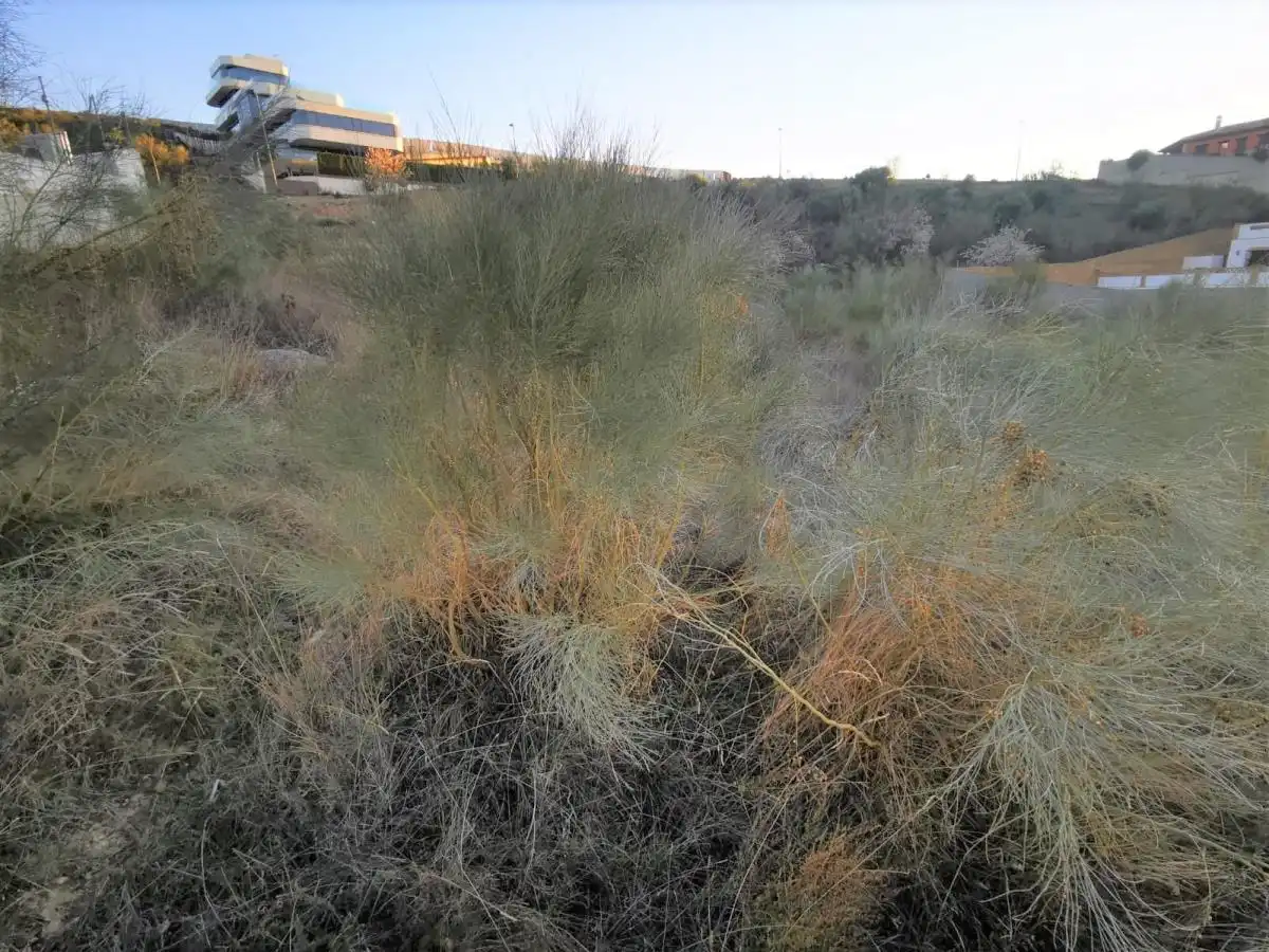 Terreno rustico in vendita a La Zubia Ciudad, imagen 15