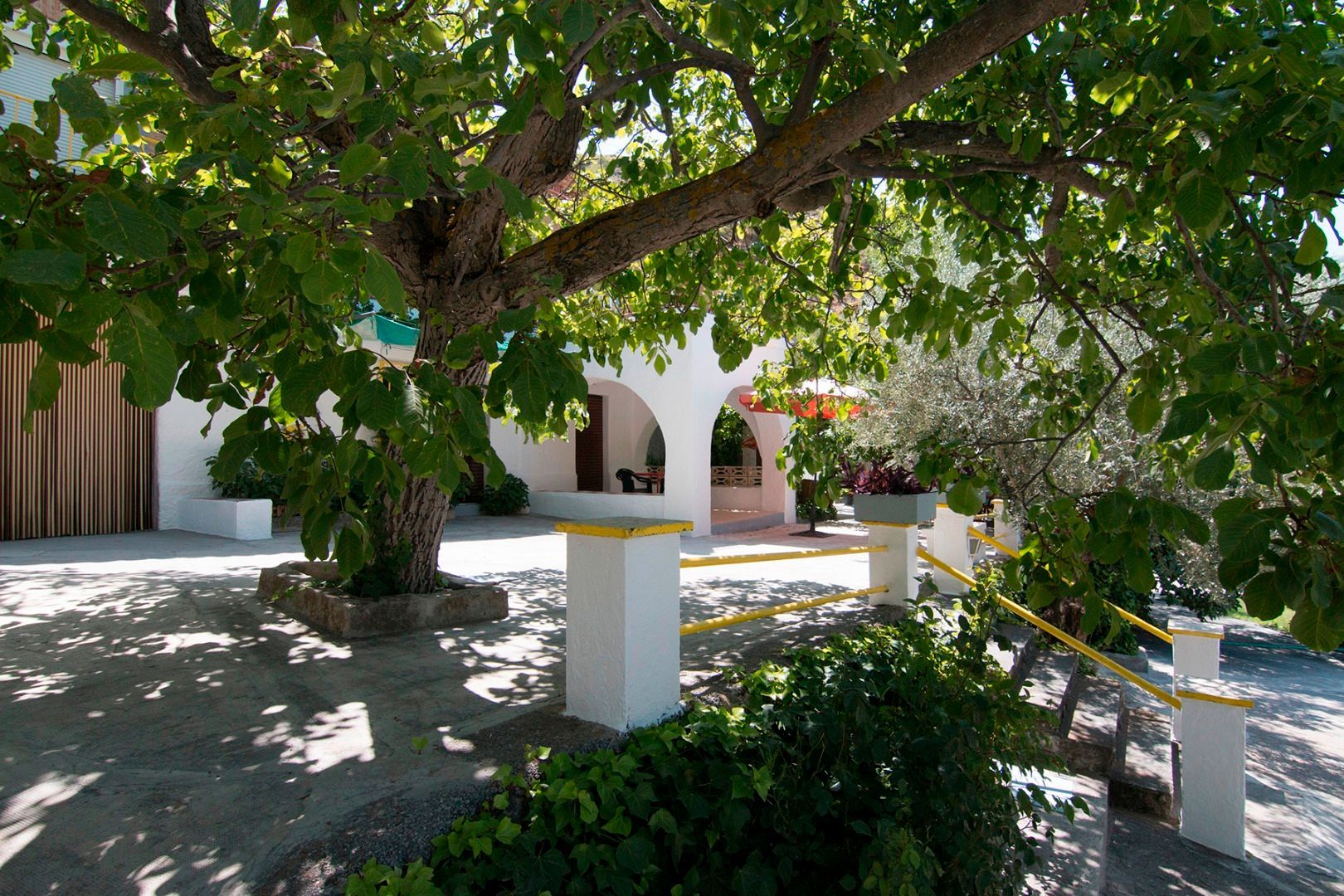Garden of Country house for sale in Güéjar Sierra  with Terrace, Swimming Pool and Balcony