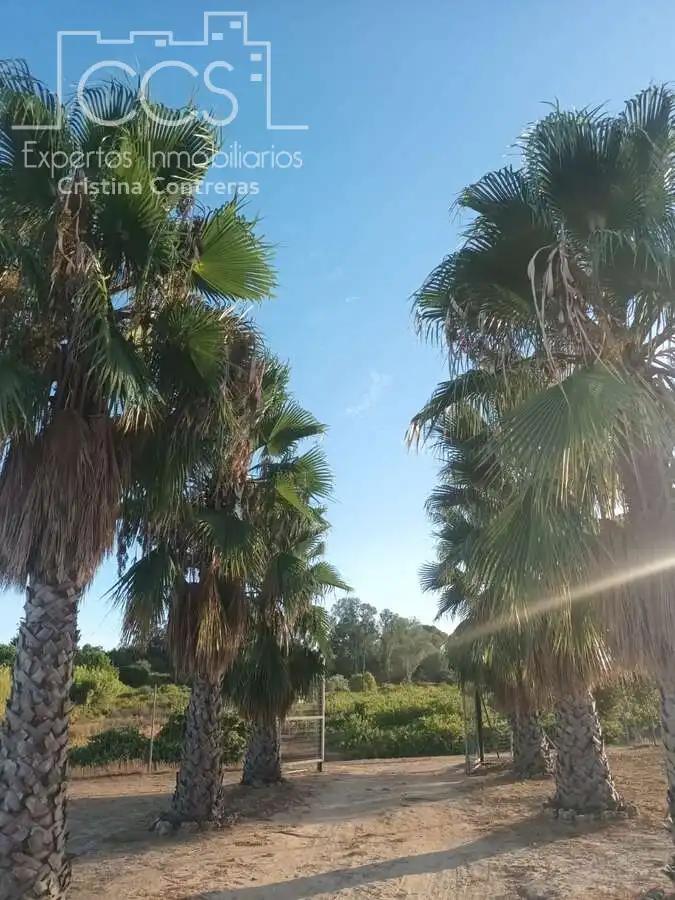 Vista exterior de Finca rústica en venda en Bollullos Par del Condado amb Jardí privat i Moblat