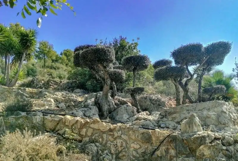Villa con giardino in vendita a Centro, imagen 25