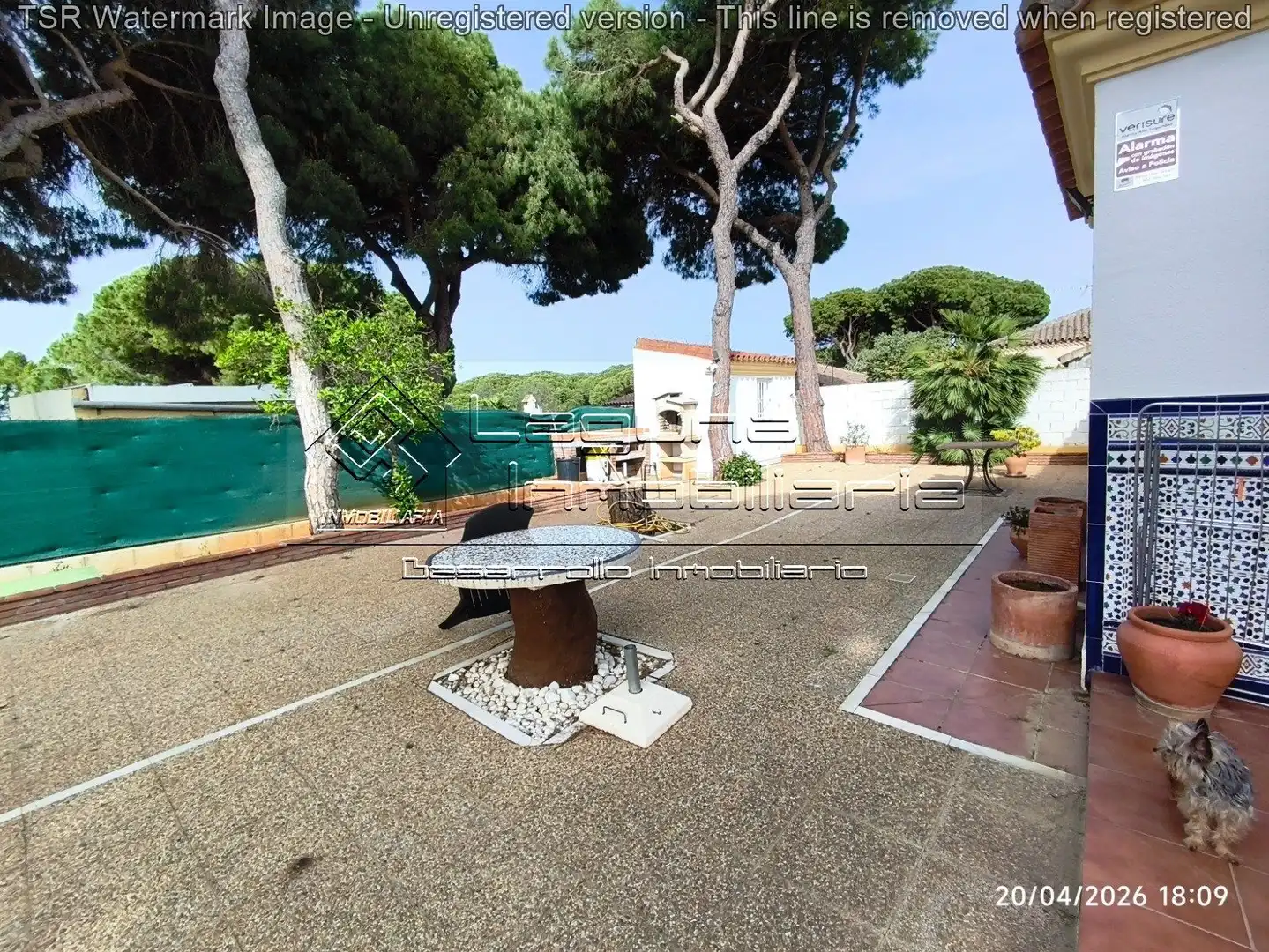 Jardí de Casa o xalet en venda en Chiclana de la Frontera amb Jardí privat, Piscina i Moblat