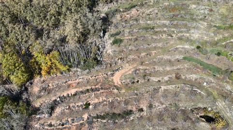Foto 4 de Terreno en venta en N/a, -1, Barrado, Cáceres