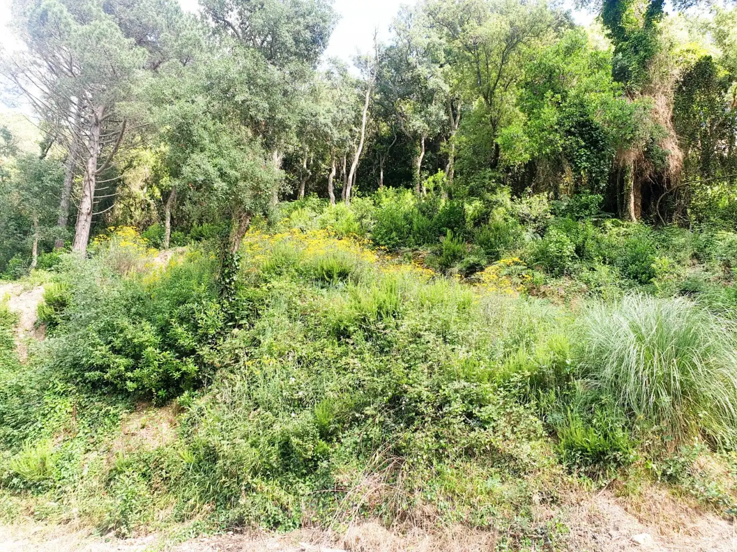 Grundstücke und Bauplätze zum Verkauf in de les Illes, imagen 9