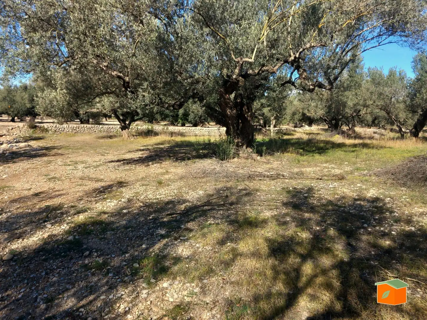 Terreno rustico in vendita a Mas de Barberans, imagen 12