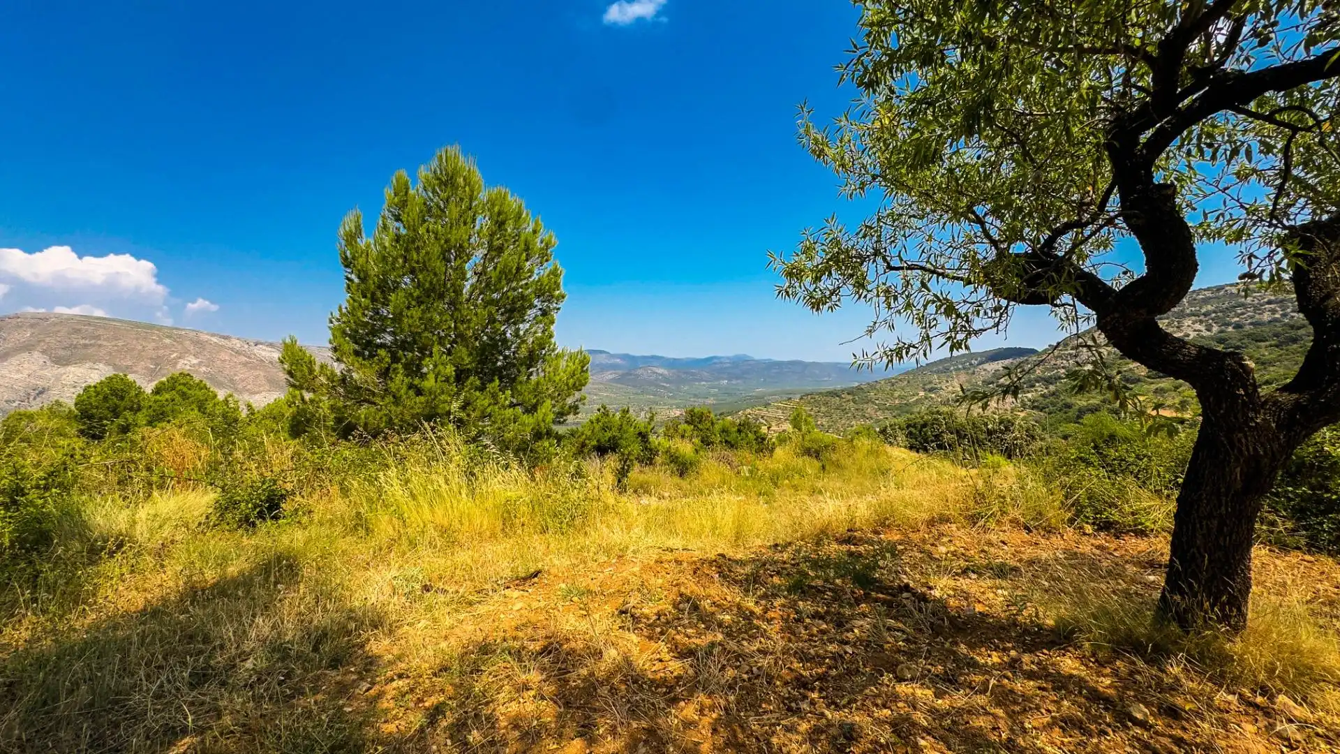 Residencial en venta en Sierra Engarcerán