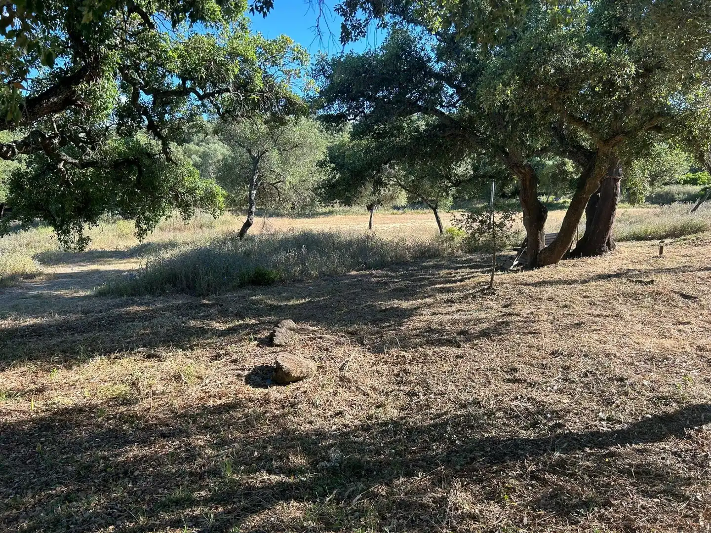 Finca rústica en venta en Alcalá de los Gazules
