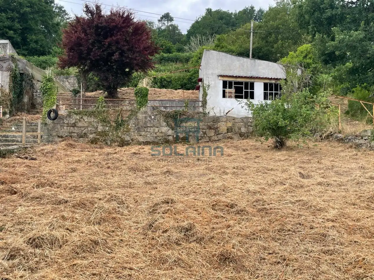 Terreni e lotti in vendita a Punxín, imagen 4