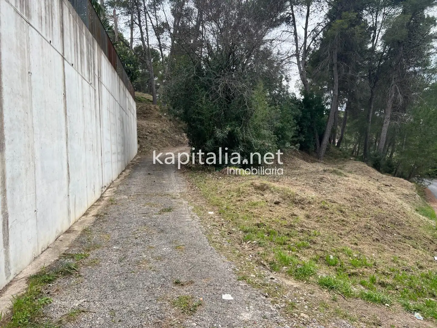 Terreni e lotti in vendita a Agullent