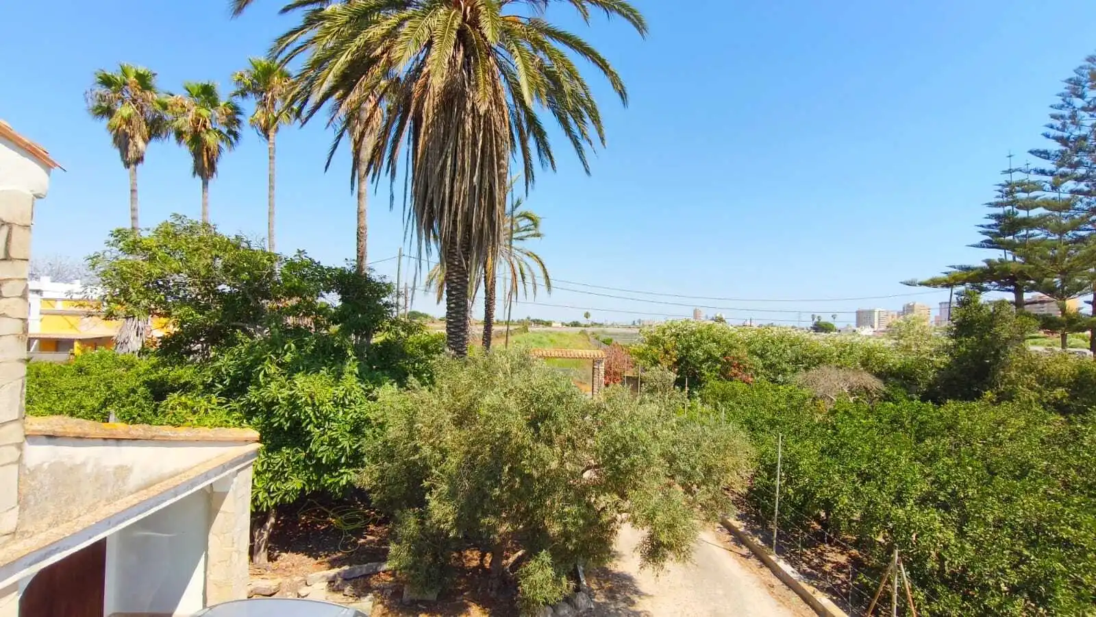 Jardín de Casa o chalet en venta en Sueca con Terraza y Piscina