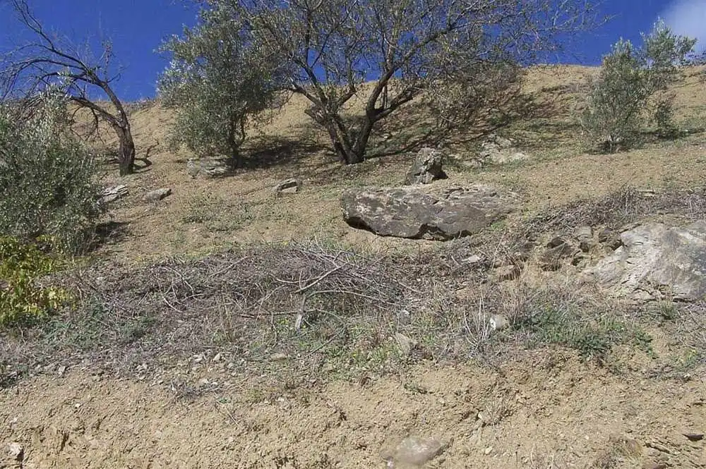 Terreno rustico in vendita a Árchez, imagen 7