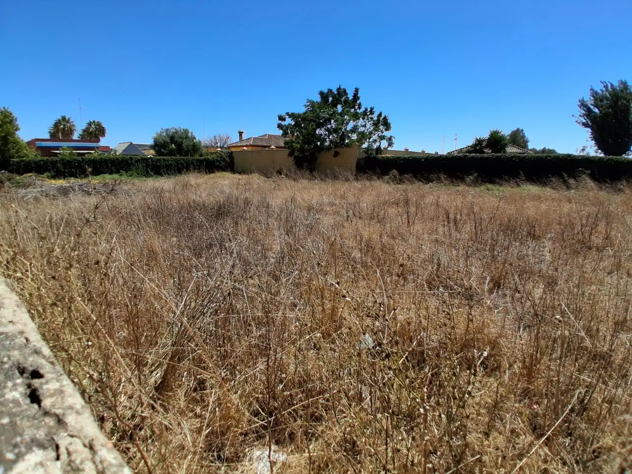 Residential land for sale in Pinar de la villa, imagen 7