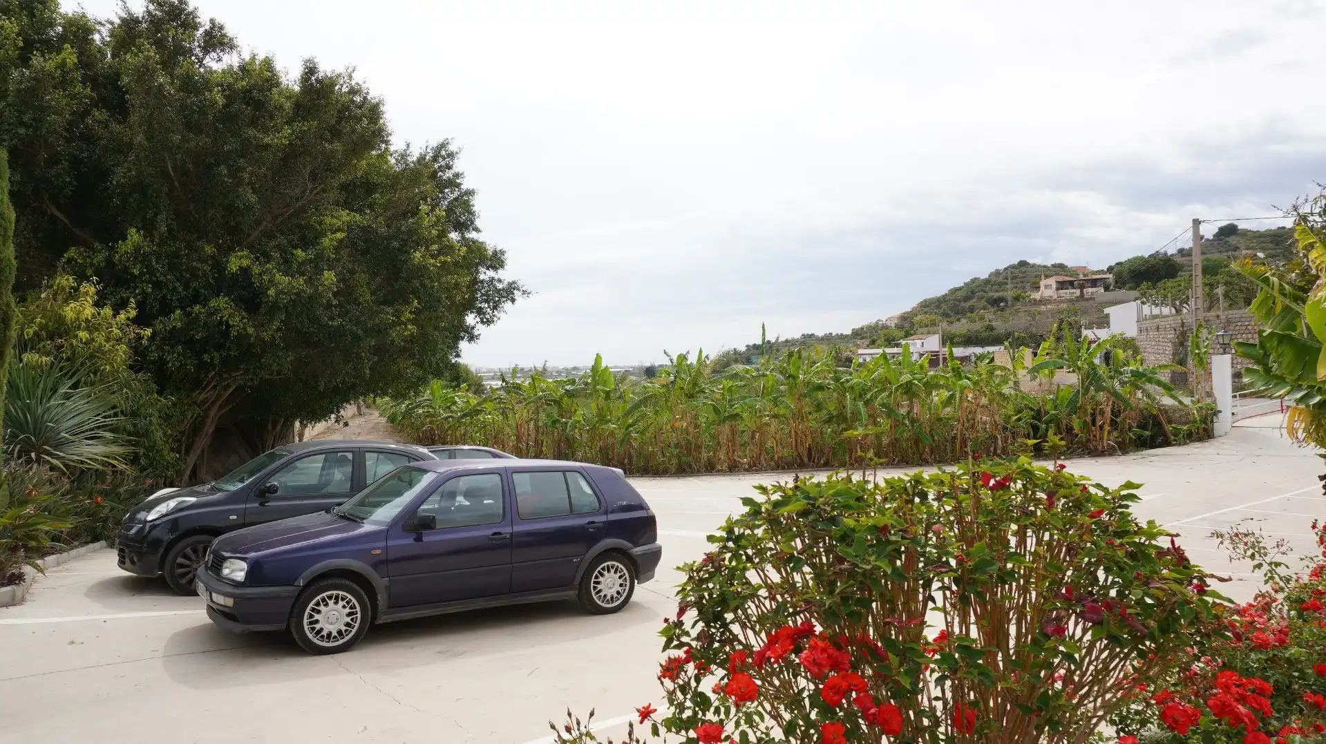Parkplatz von Fabrikhallen zum Verkauf in Motril