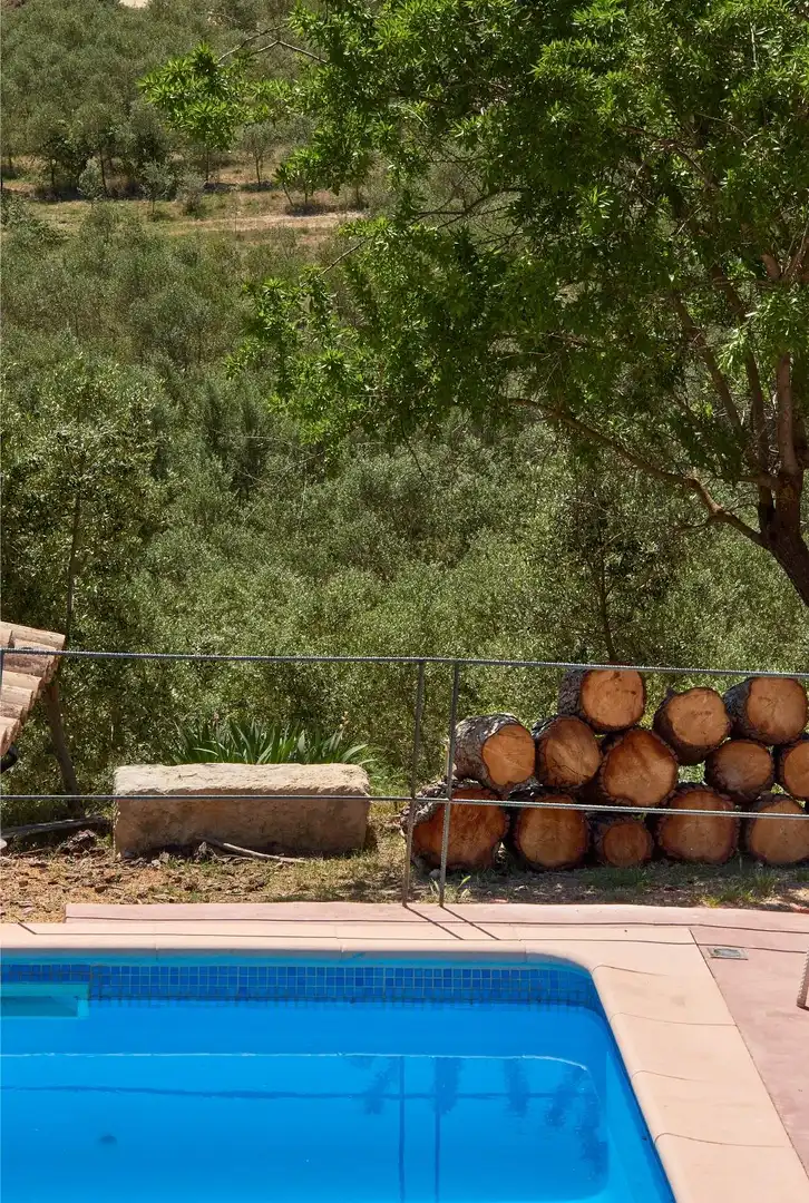 Jardín de Finca rústica en venta en Enguera con Calefacción, Jardín privado y Terraza