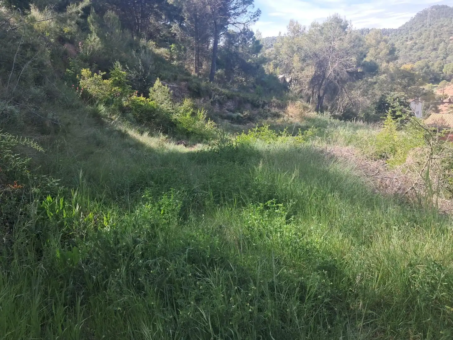 Terrenys i solars en venda a La Pobla de Claramunt