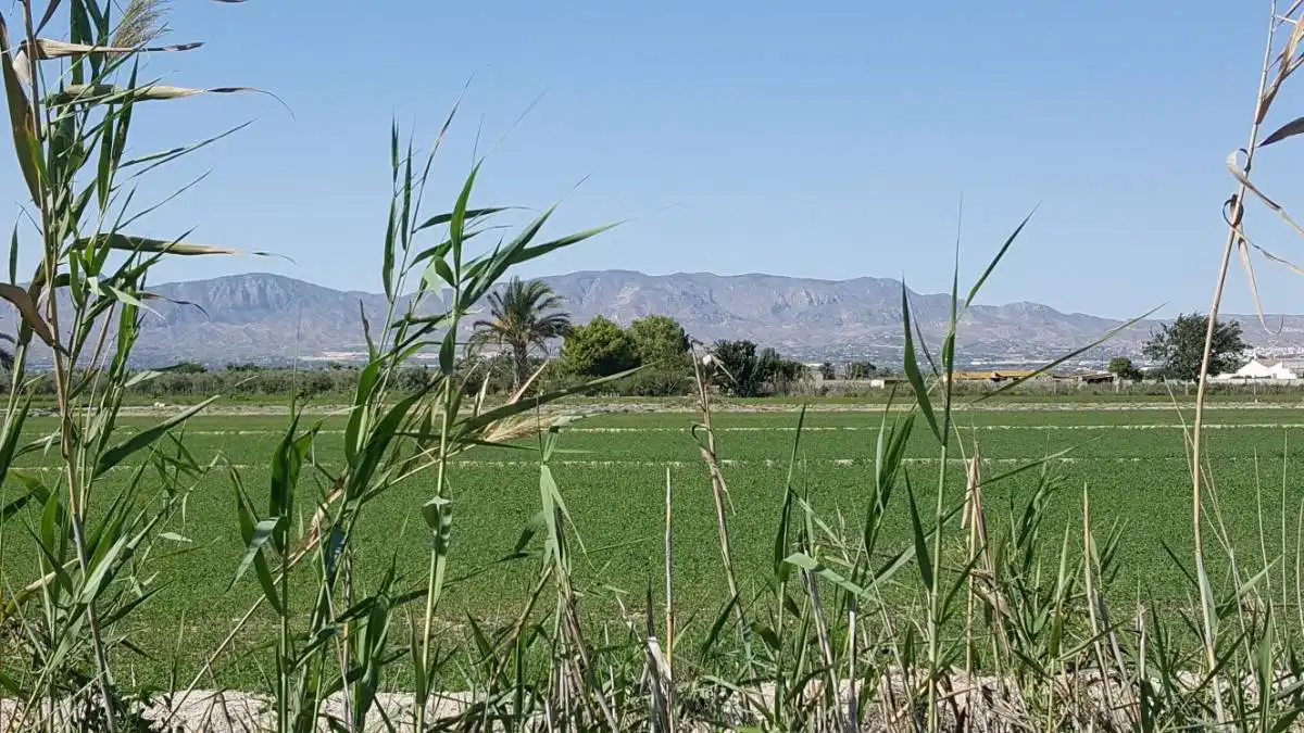 Terreni e lotti in vendita a Partida Santa Agueda, imagen 7