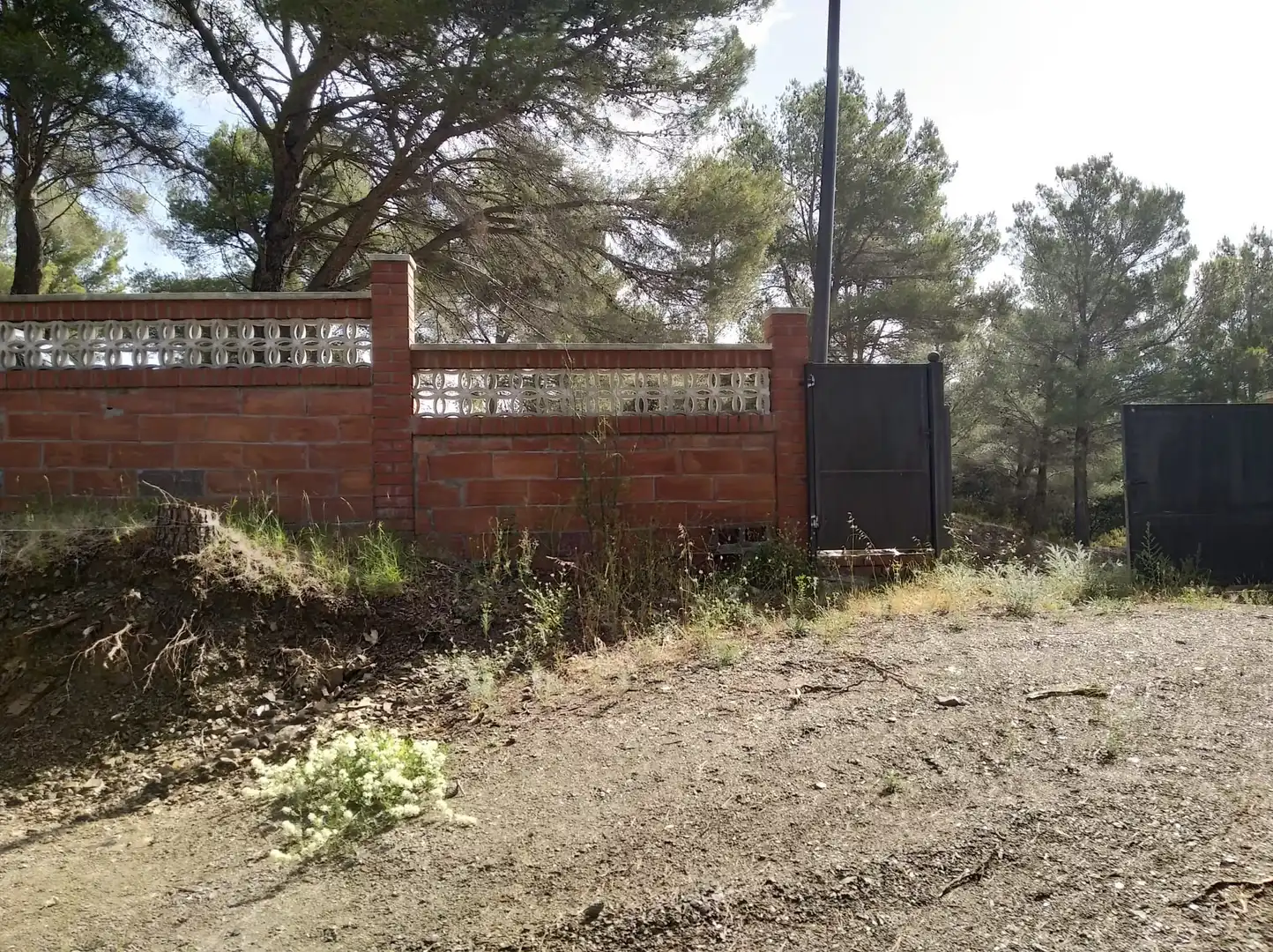 Terreni e lotti in vendita a Carrer Arbolí, imagen 2