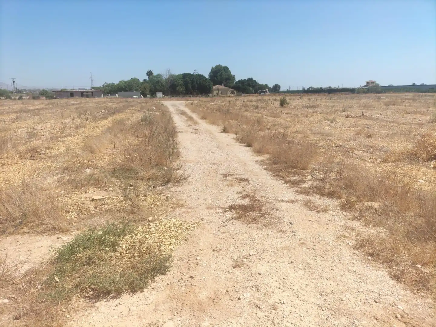 Rural land for sale in La Murada - Los Vicentes, imagen 14