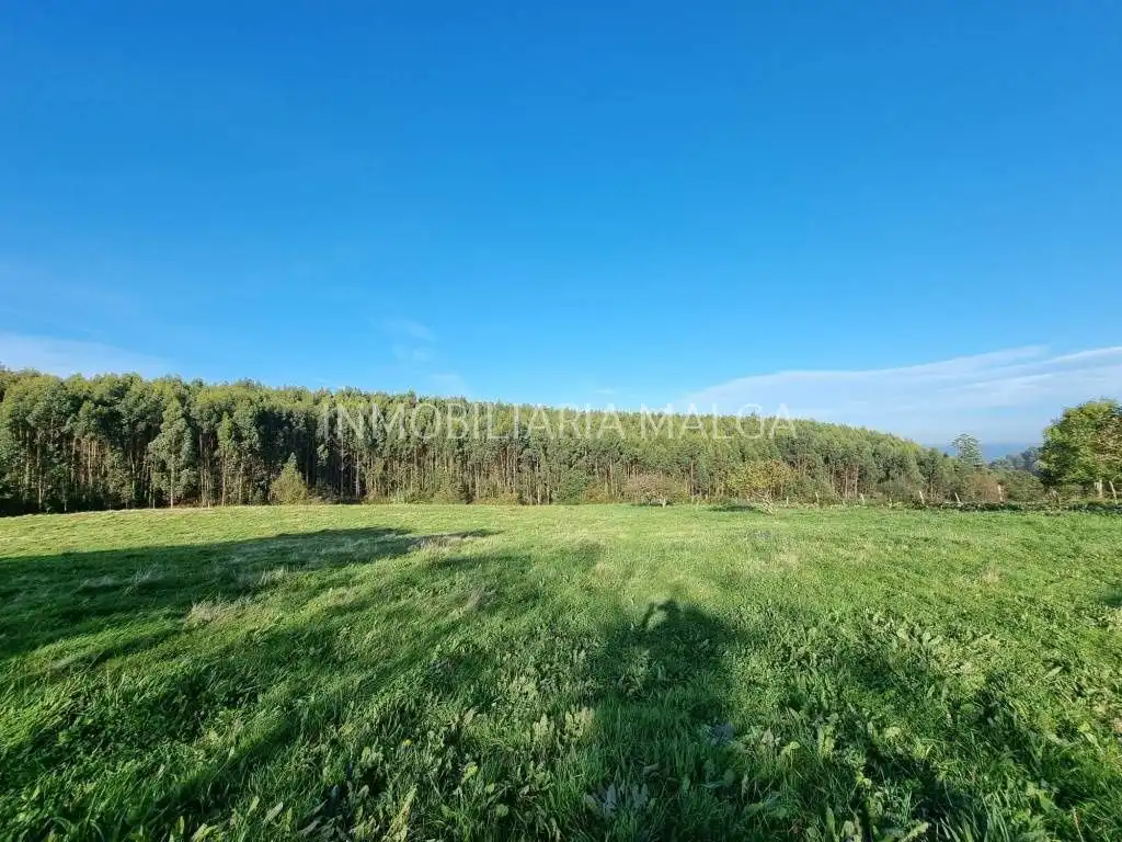 Residential for sale in Colunga