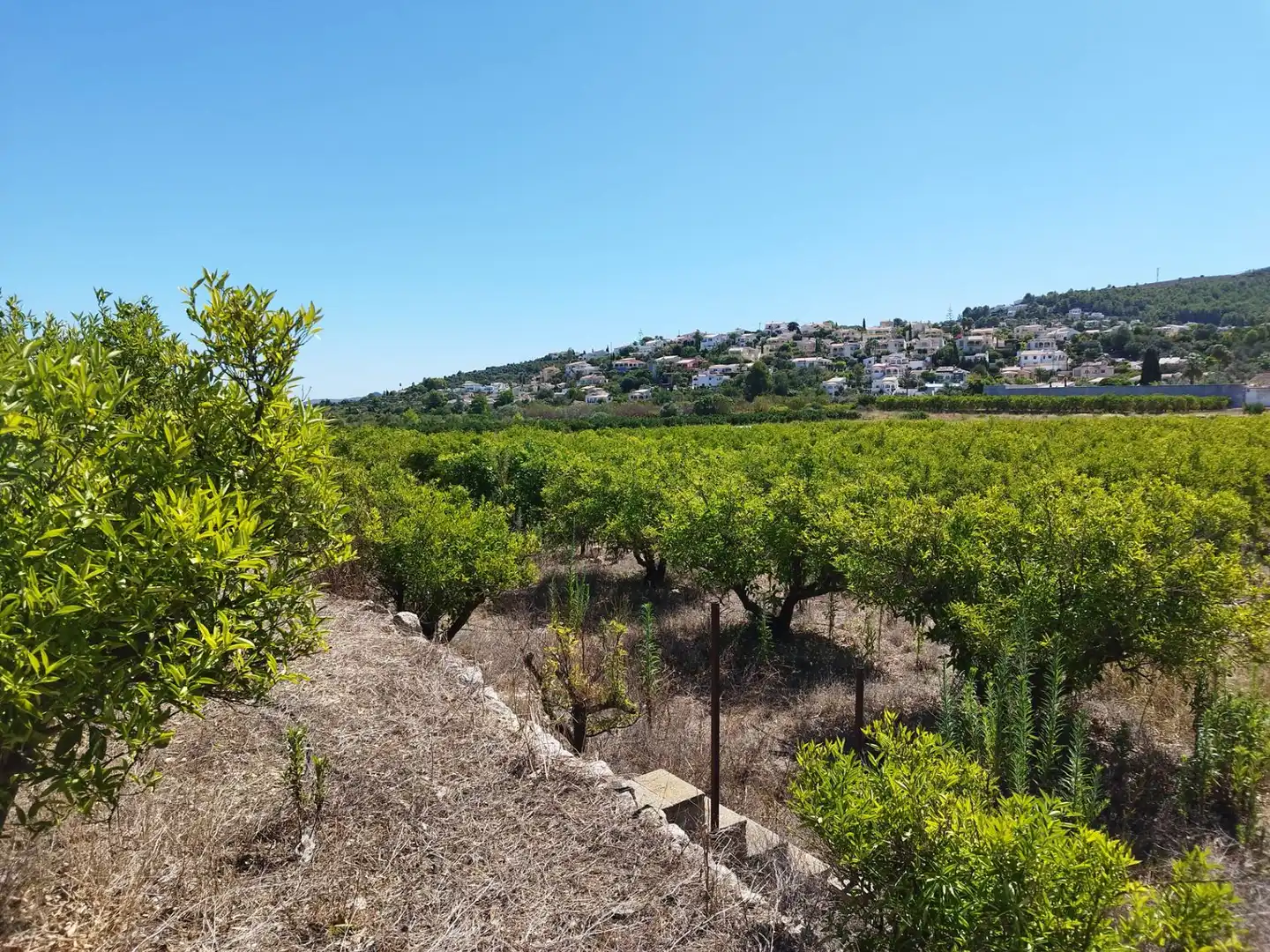 Residential land for sale in Orba