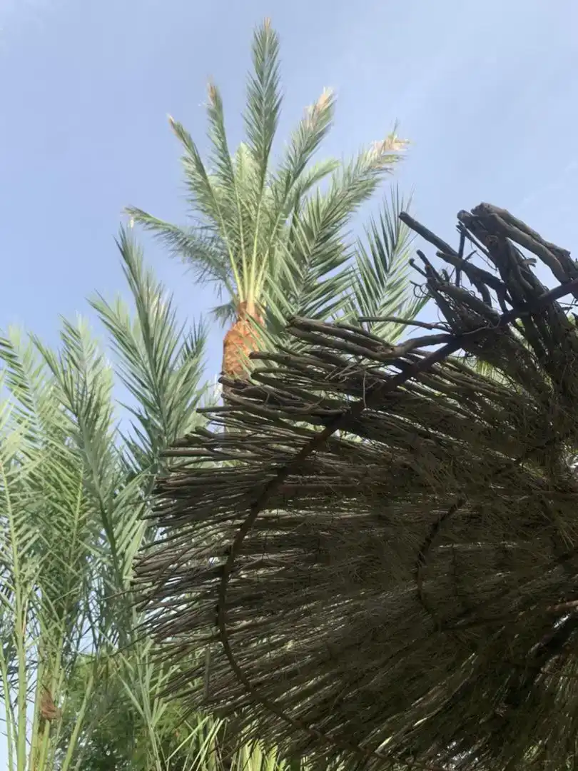 Jardí de Dúplex en venda en Jávea / Xàbia amb Aire condicionat i Piscina