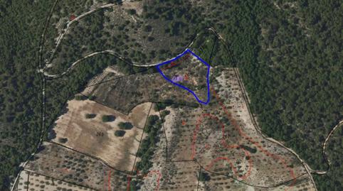 Foto 3 de Terreny en venda a  Polígono 21 Parcela 265 la Bermeja. Ricote (murci, Ricote, Murcia