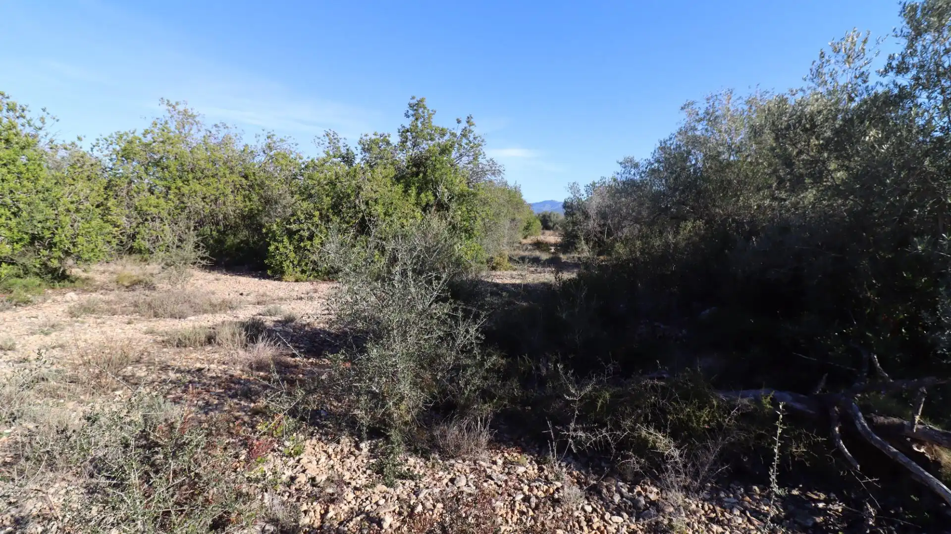 Rural land for sale in Partidas de interior - Zona Rústica, imagen 8