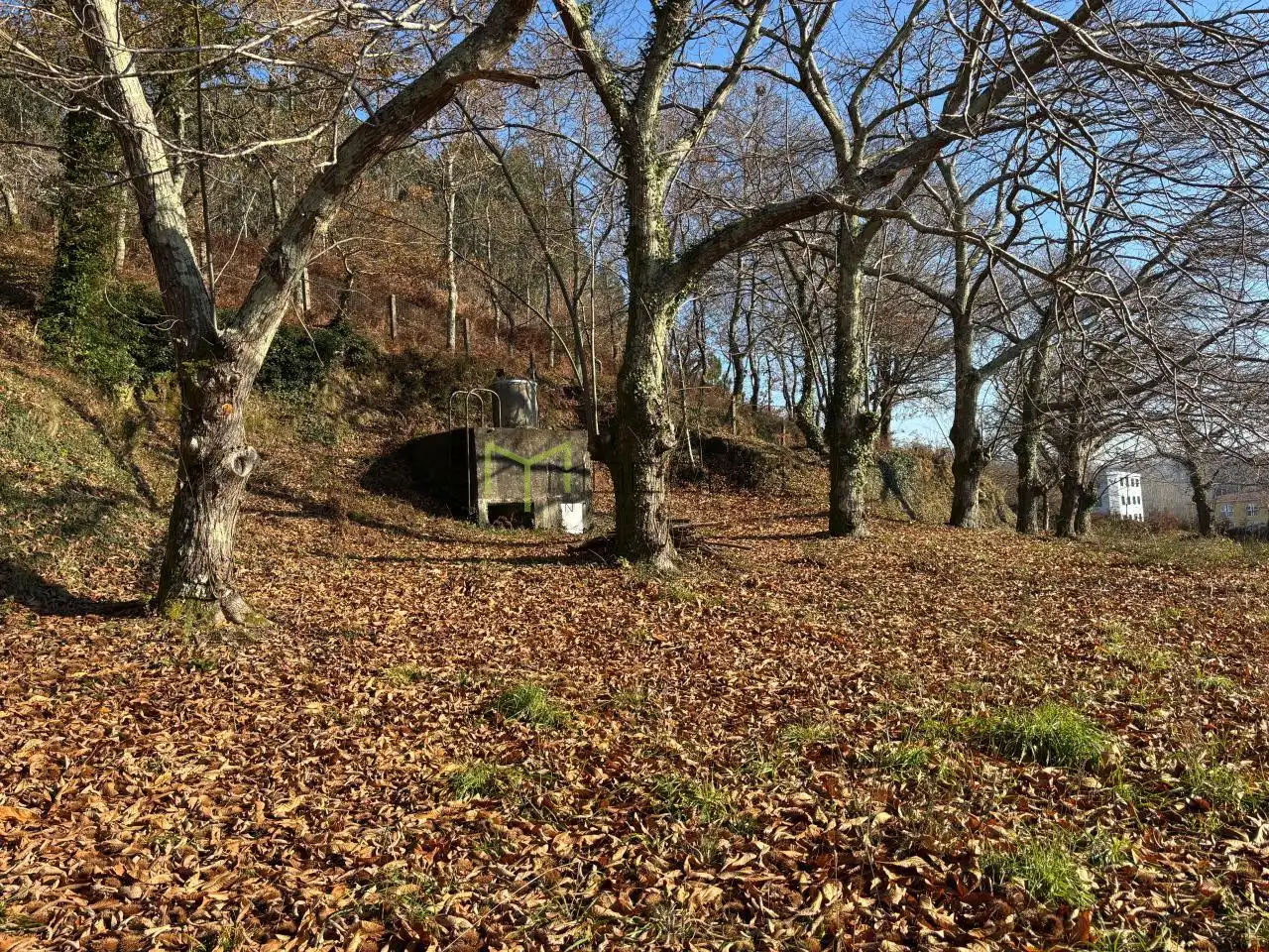 Casa o xalet en venda en Teo amb Calefacció, Jardí privat i Piscina