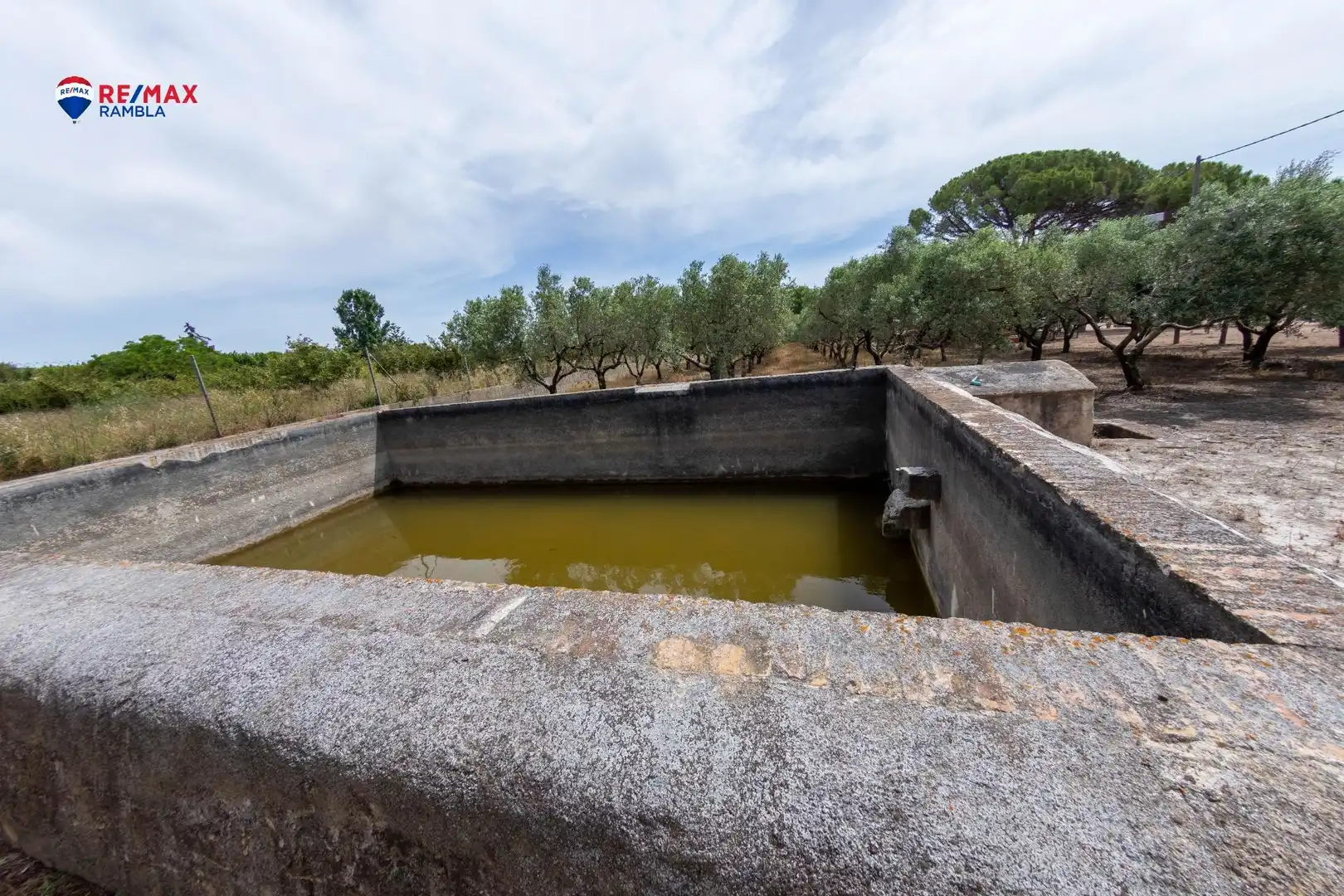 Swimming pool of Houses for sale in Valls