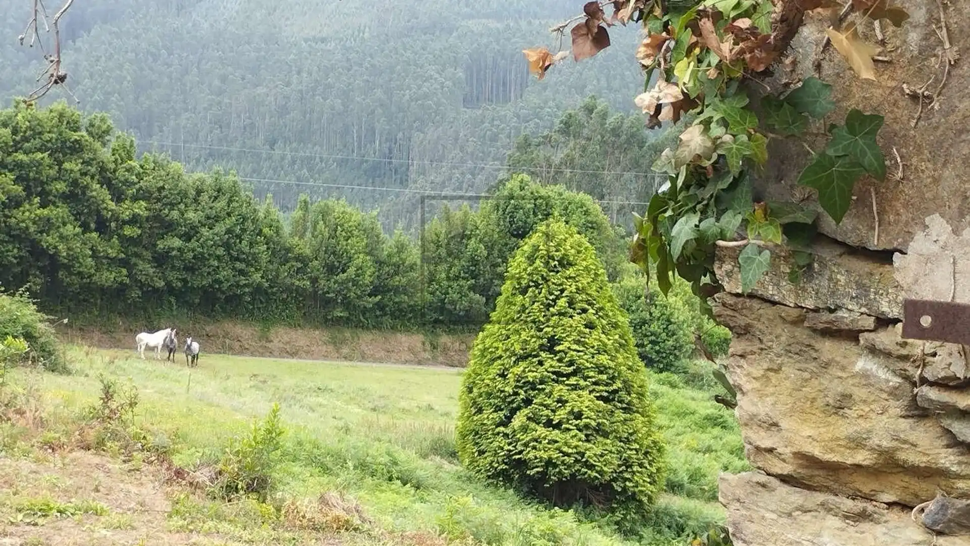 Casa o chalet en venta en Cerdido con Jardín privado