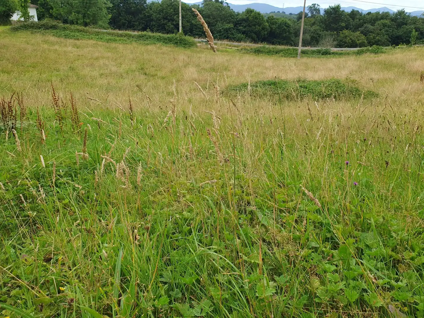 Residential land for sale in Grado, imagen 12