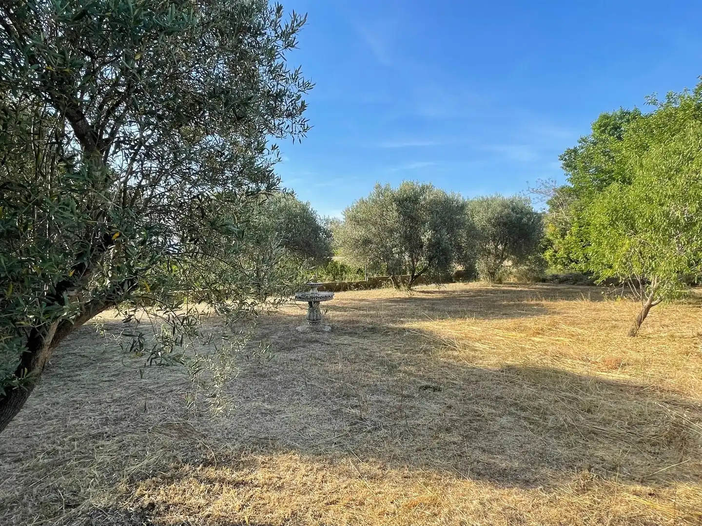 Casa o chalet en venta en Pedralba con Jardín privado, Terraza y Piscina