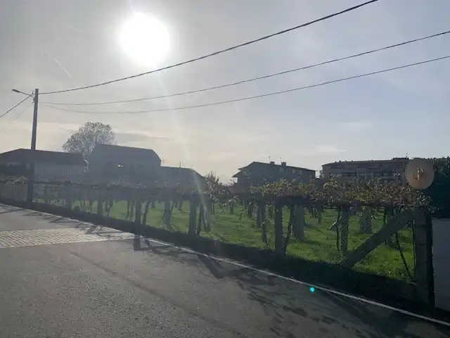Vista exterior de Casa o chalet en venta en Meaño con Calefacción, Jardín privado y Terraza