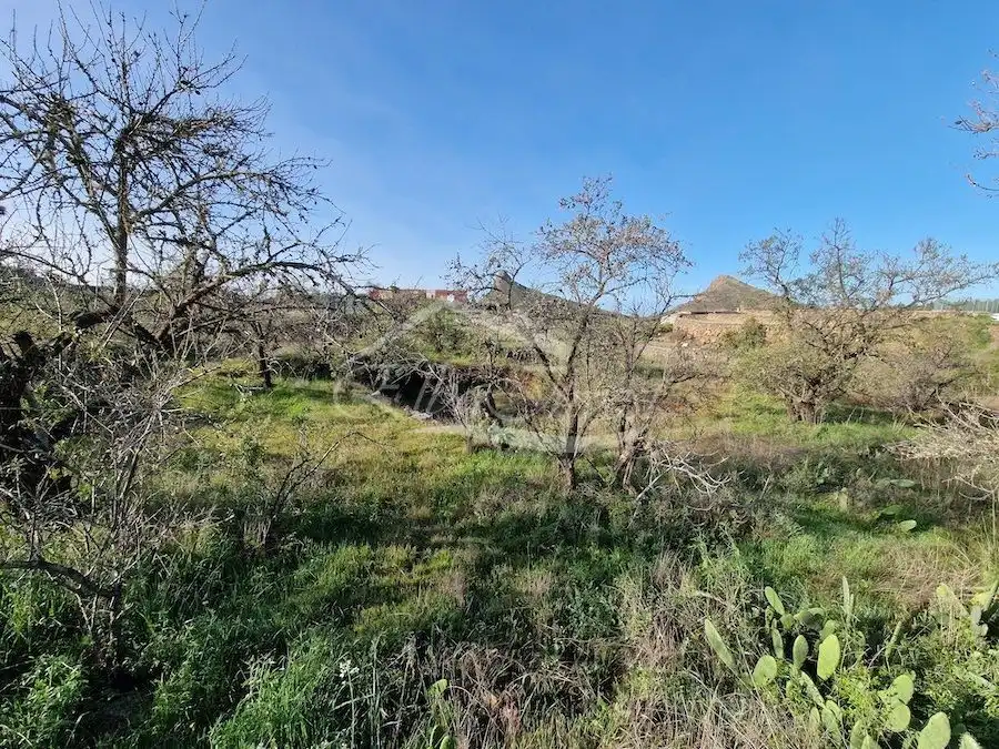 Terreno rústico en venta en Vilaflor de Chasna, imagen 5