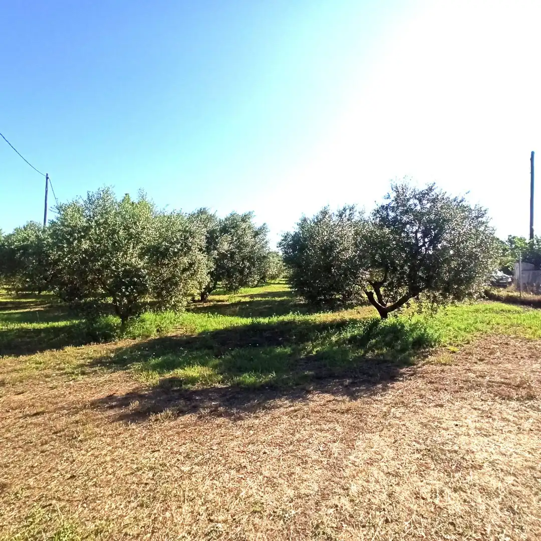 Finca rústica en venta en Reus