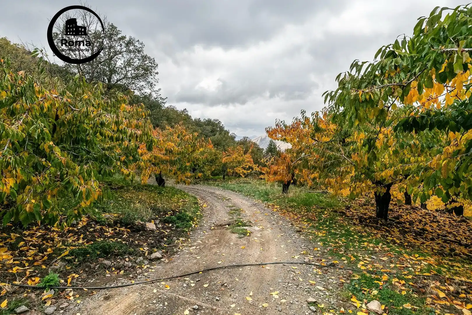 Lands and plots for sale in Güéjar Sierra, imagen 8